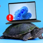 Windows compatibility issues